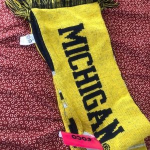 Michigan scarf